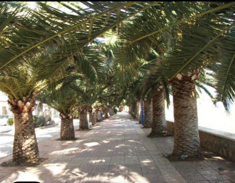 Vcc Home'S Puerto de Mazarron Bagian luar foto